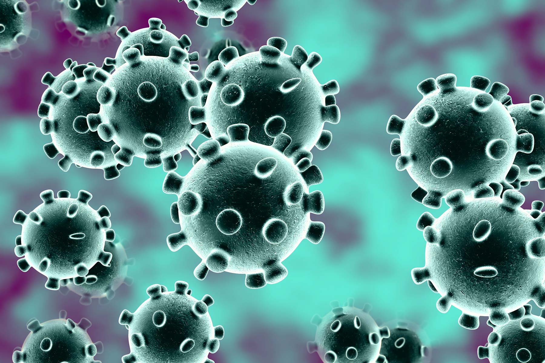 1800x1200-coronavirus-1 1800x1200-coronavirus-1