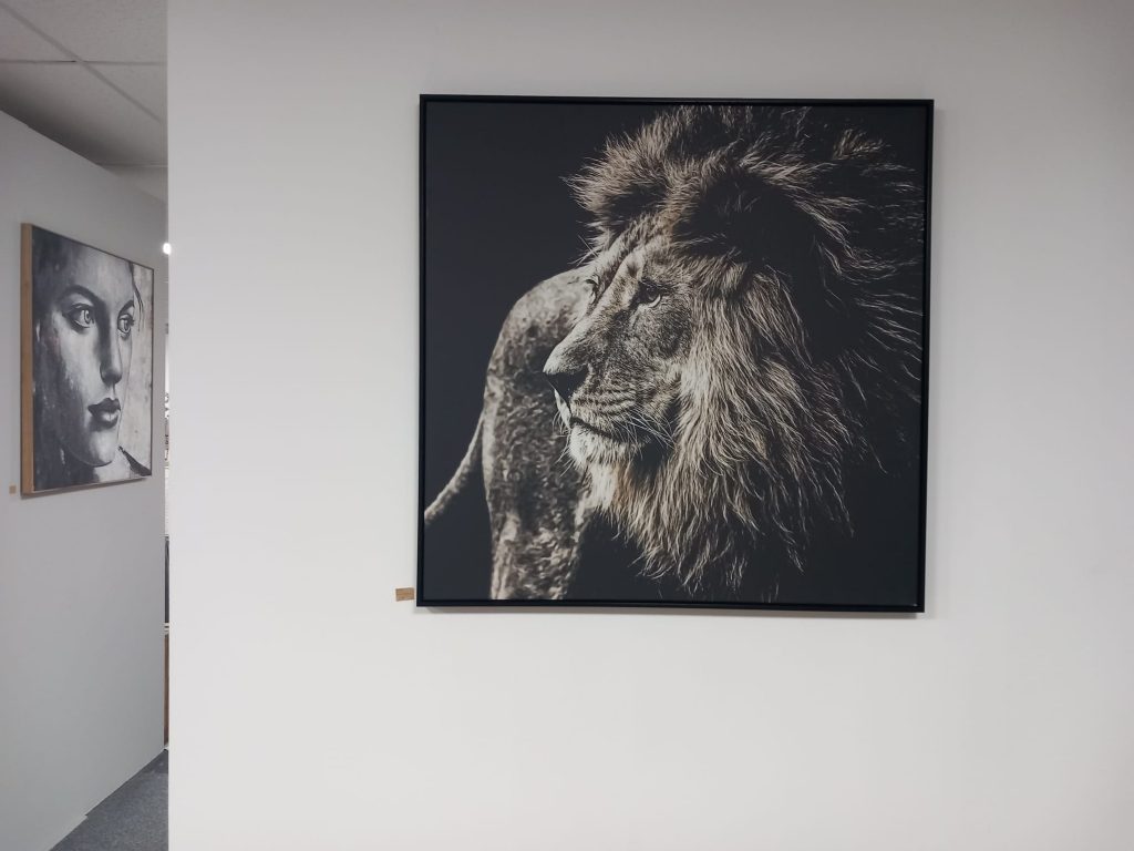 ff3a7a41-3a54-45d8-99ad-1e90ff270cfa